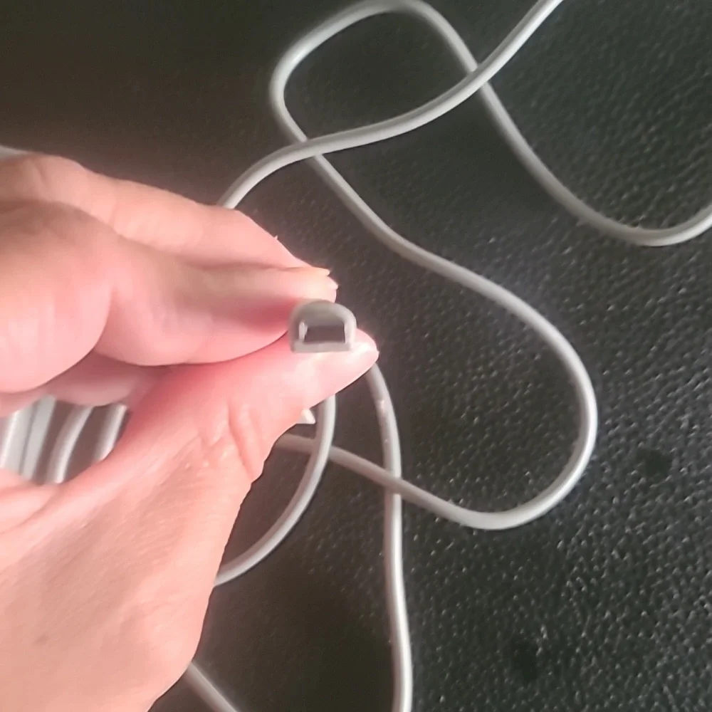 Nintendo DS charger